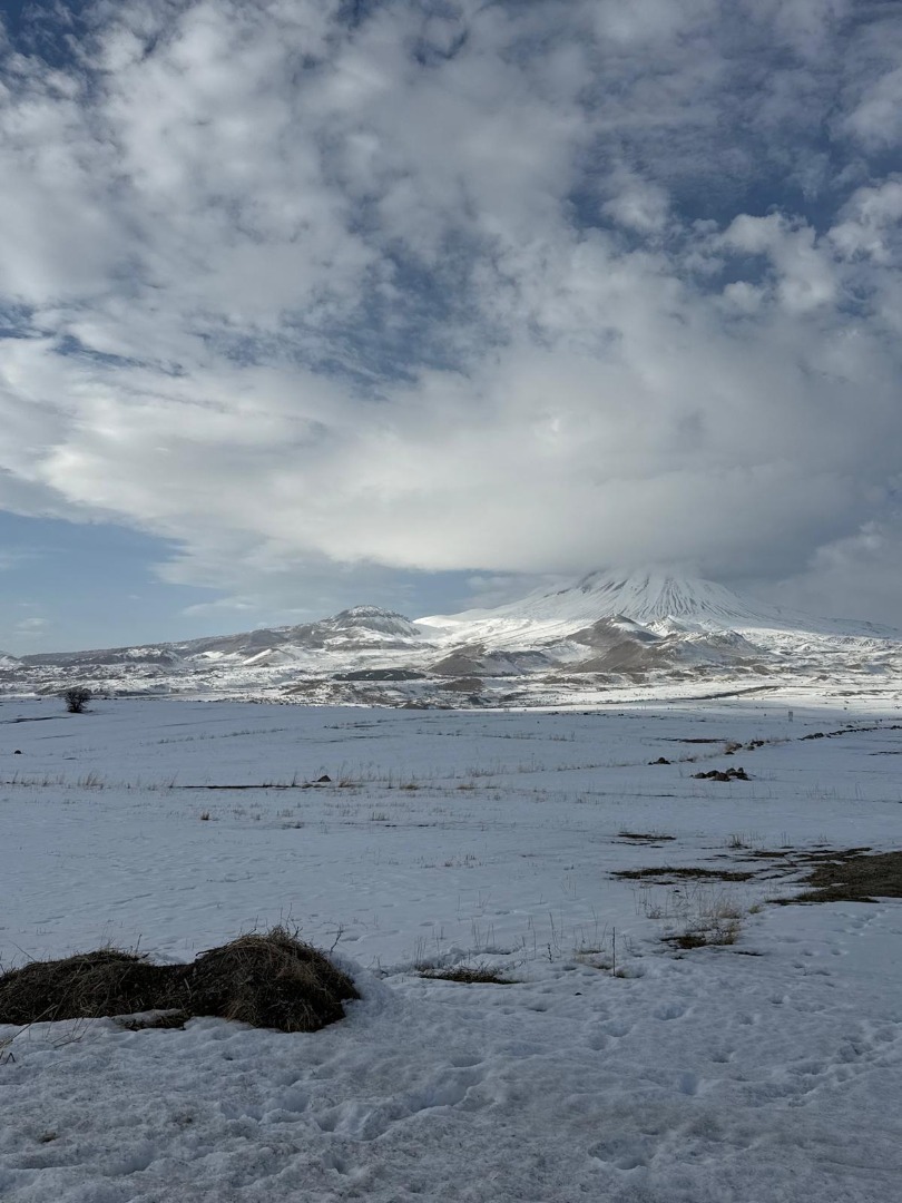 KAYSERİ DEVELİ FENESEYUKARI MAHALLESİNDE SATILIK TARLA